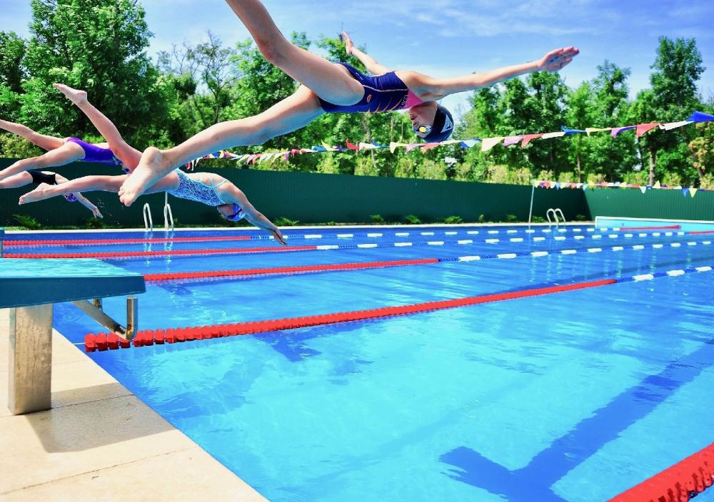 Детские спортивные базы. База Ромашка Таганрог. Лагерь Ромашка Таганрог. Сок Ромашка Таганрог. Спортивно-оздоровительный комплекс Ромашка.